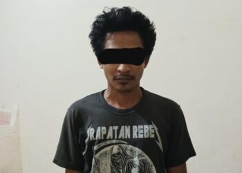 Polisi Tangkap Pencuri Sawit di Desa Gedung Boga