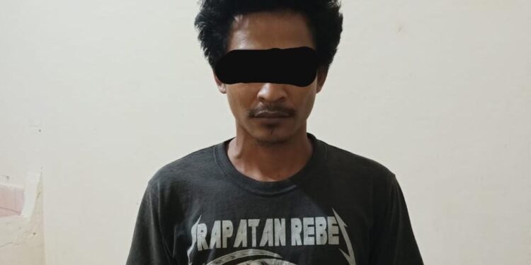 Polisi Tangkap Pencuri Sawit di Desa Gedung Boga