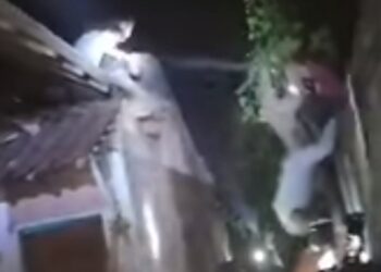 Pencuri Motor Naik Atas Rumah Saat Dikejar Polisi dan Warga