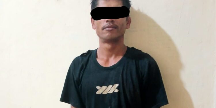 Pencuri Buah Kelapa Sawit PT. BDPB Ditangkap