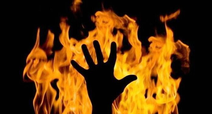 Petani Cabai Ditemukan Tewas Terbakar di Kebun