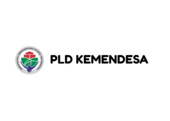 Lowongan PLD Kemendesa, Segini Jumlah Kuota Untuk Lampung Timur