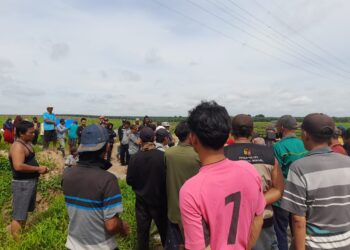 Masyarakat Adat Buay Mencurung Ukur dan Bagikan Pekarangan