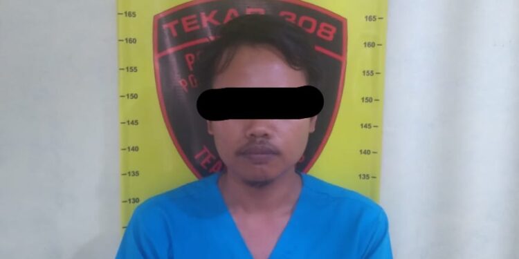 Pegawai Honorer Curi Ponsel Pasien RSUD Mesuji