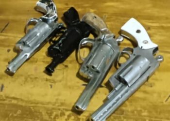 Kapolsek Tanjung Raya Panen 4 Senpi Rakitan Dari Tiga Desa