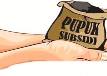 Petani Mesuji Tombok Puluhan Ribu Rupiah Saat Beli Pupuk Bersubsidi