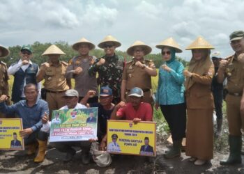 Panen Raya di Desa Sungai Badak Mesuji, Bupati Jamin Ribuan Hektar Sawah Dapat Benih Bantuan