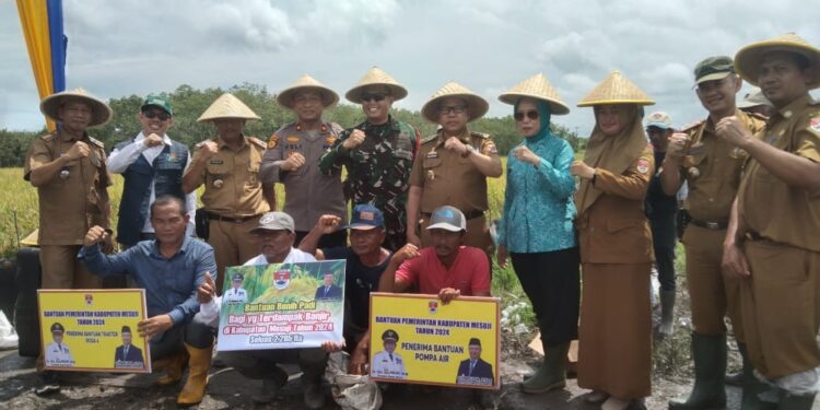 Panen Raya di Desa Sungai Badak Mesuji, Bupati Jamin Ribuan Hektar Sawah Dapat Benih Bantuan