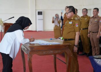 508 PPPK Formasi Tahun 2023 di Mesuji Terima SK