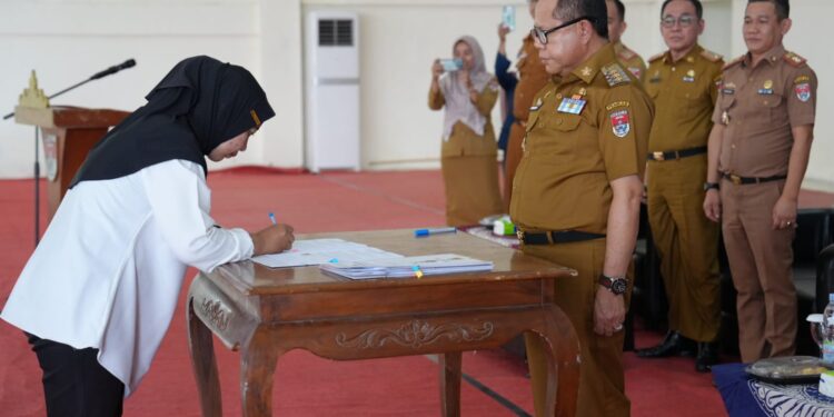 508 PPPK Formasi Tahun 2023 di Mesuji Terima SK