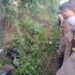 Polisi Selidiki Penemuan Mayat Pelajar di Parit Mesuji Timur