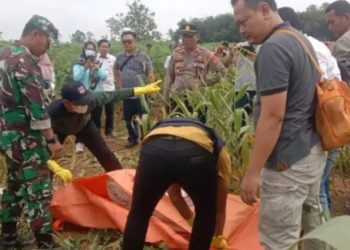 Warga Labuhan Ratu Ditemukan Tewas Dalam Karung di Area Peladangan