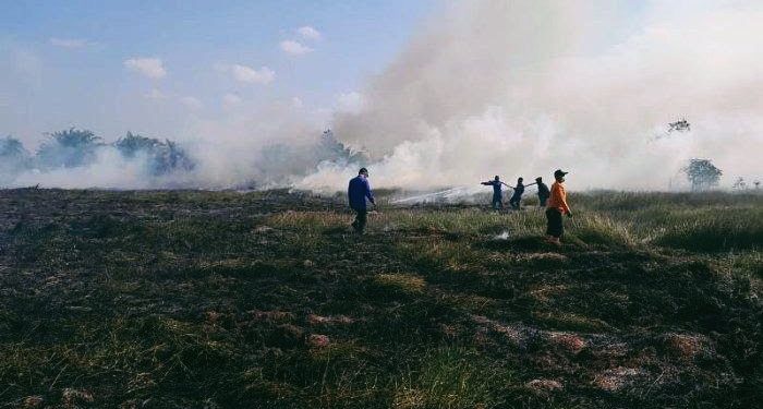 65 Hektare Sawit PT BNCW Terbakar