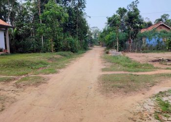Dua Dekade Penuh Jalan Dusun IV Taman Negeri Terpuruk tanpa Perhatian