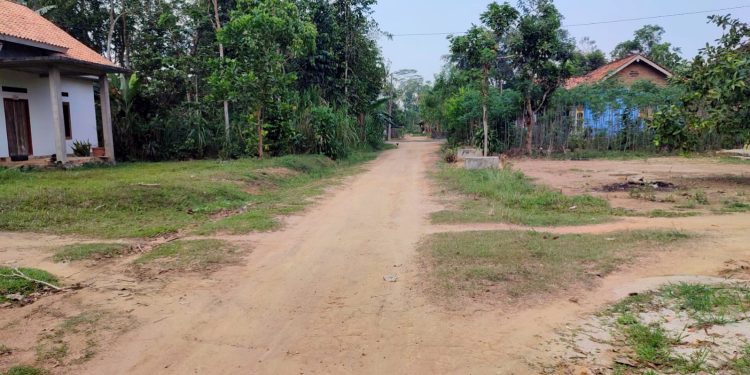 Dua Dekade Penuh Jalan Dusun IV Taman Negeri Terpuruk tanpa Perhatian