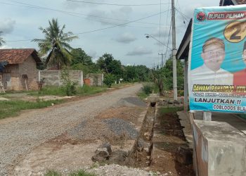 Peningkatan Jalan S.D Lataston Dusun 4 Desa Taman Endah Kec. Purbolinggo