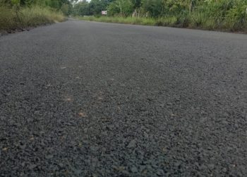 Jalanan mulus ruas jalan Tegal Ombo - Kali Pasir