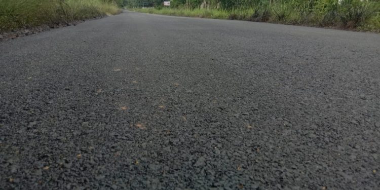 Jalanan mulus ruas jalan Tegal Ombo - Kali Pasir