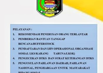 Tangkap layar produk layanan di website dinas sosial Lampung Timur