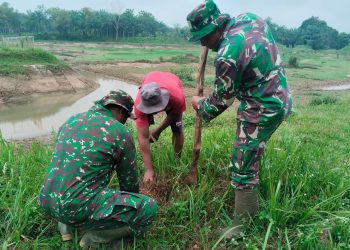 Satgas TMMD Sulap Waduk Jadi Kebun Pinang & Durian