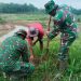 Satgas TMMD Sulap Waduk Jadi Kebun Pinang & Durian
