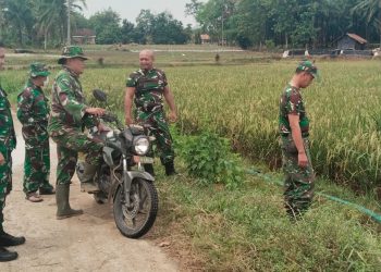 Menoreh Jejak TNI untuk Negeri di Pematang Sawah Lampung Tengah