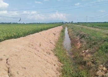 Program Serasi Tinggalkan Nestapa di Sawah Marga Batin
