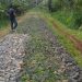 Jalan Onderlagh Waringin Jaya Dilaporkan Pekan Depan